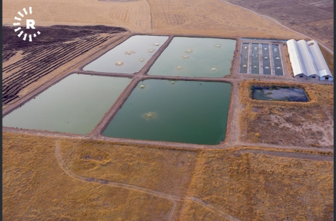 Li Hewlêrê projeya xwedîkirina masî bi sîstema Norwecî